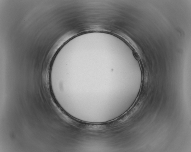 X0000113121293200909251105