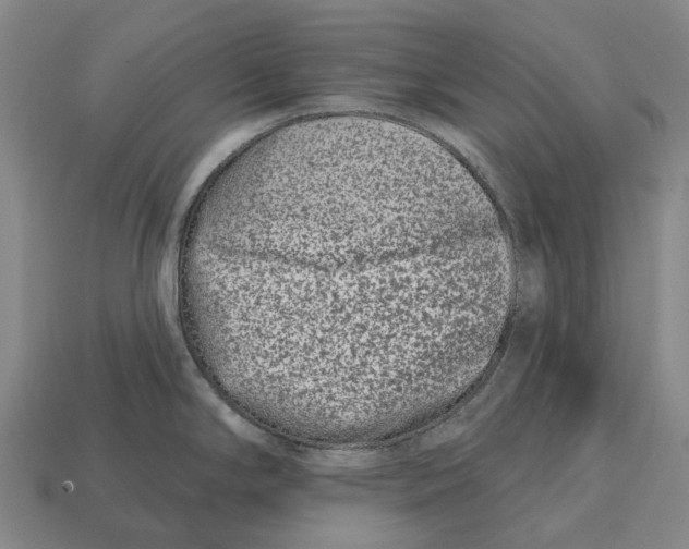 X0000113121294200909251105