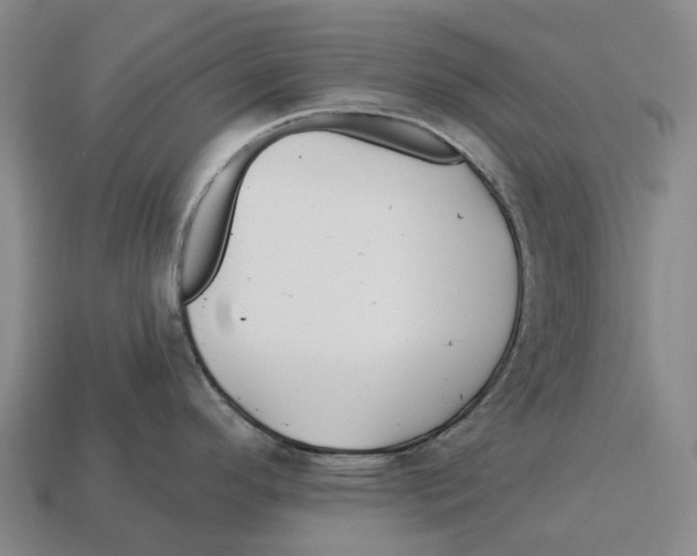 X0000113121296200909251105
