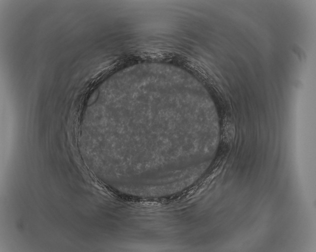 X0000113121297200909251104