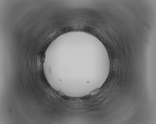 X0000113121298200909251104