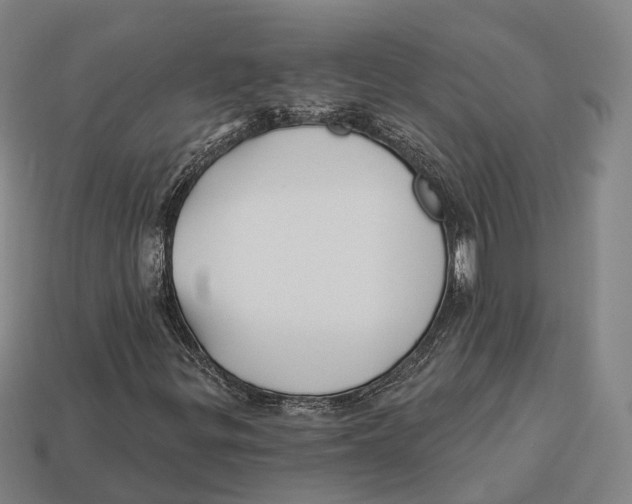 X0000113121299200909251104