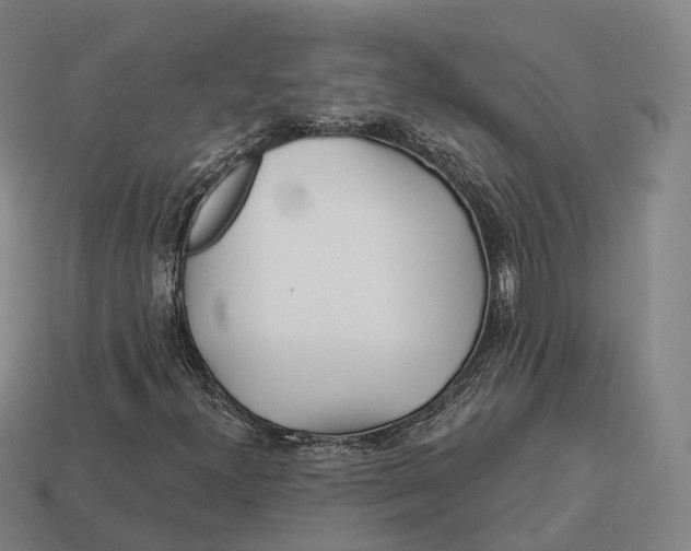 X0000113121300200909251104