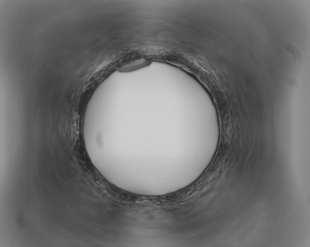 X0000113121301200909251104