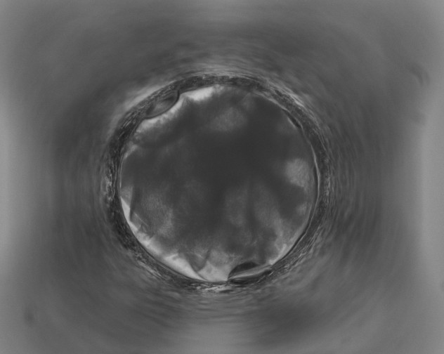 X0000113121303200909251104