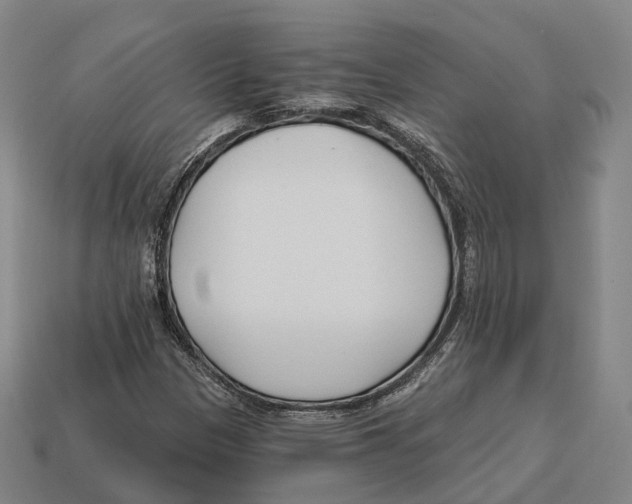 X0000113121305200909251104