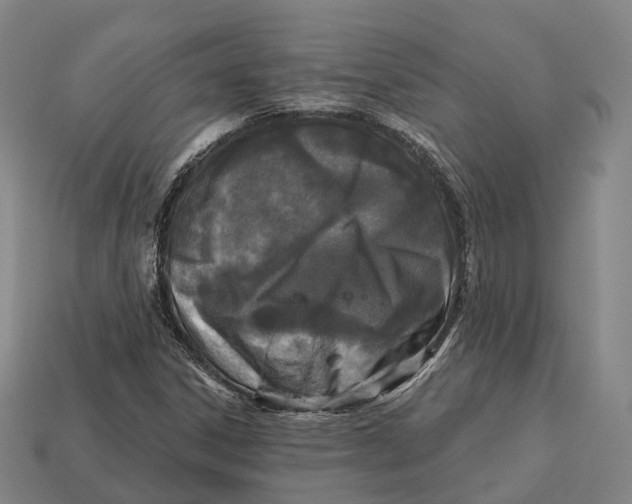 X0000113121306200909251104