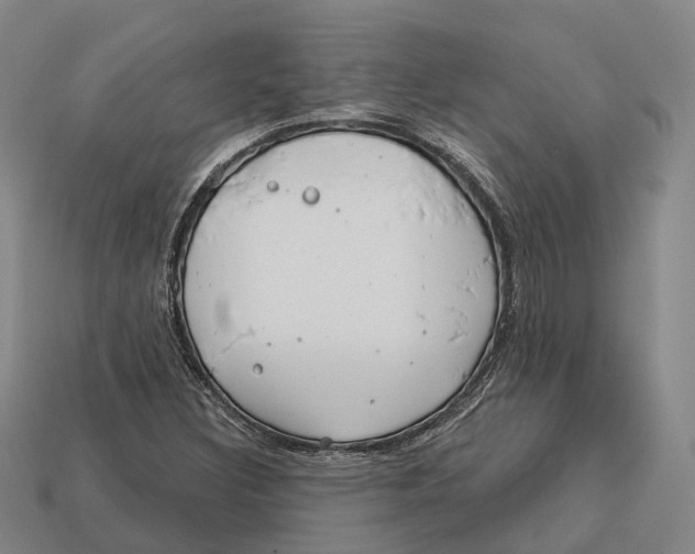 X0000113121308200909251104