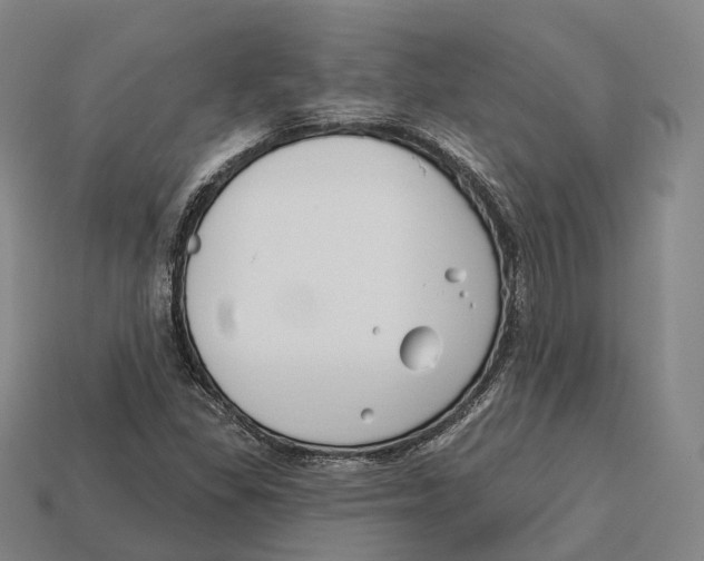 X0000113121309200909251104