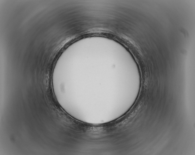 X0000113121313200909251104