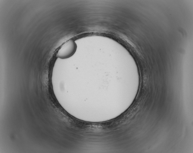 X0000113121315200909251104