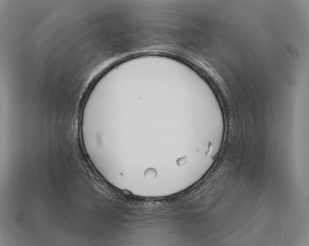 X0000113121316200909251104