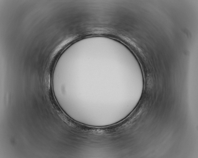 X0000113121317200909251104
