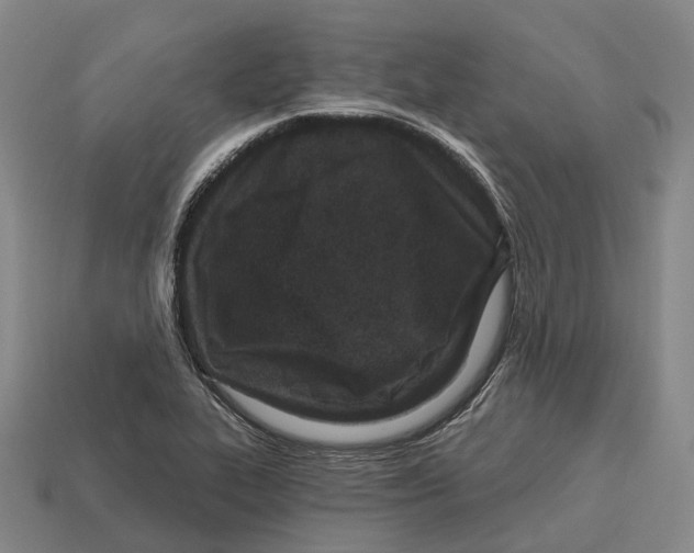 X0000113121319200909251104