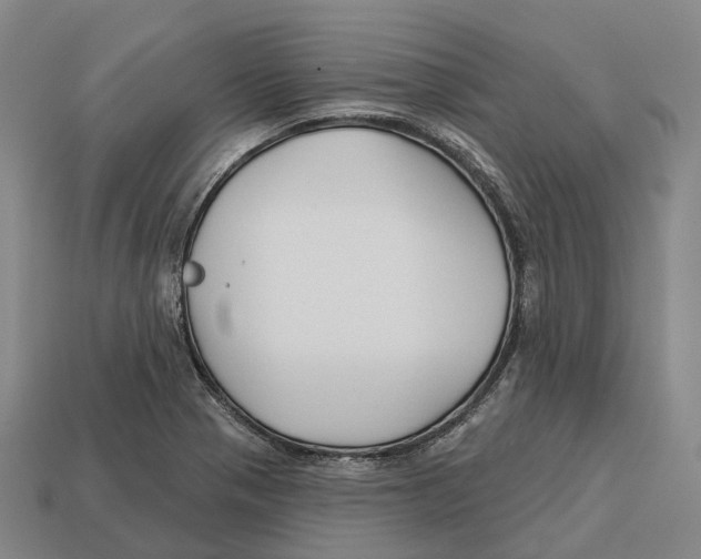 X0000113121321200909251104