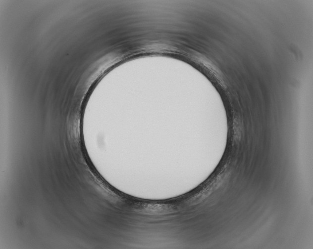 X0000113121322200909251105