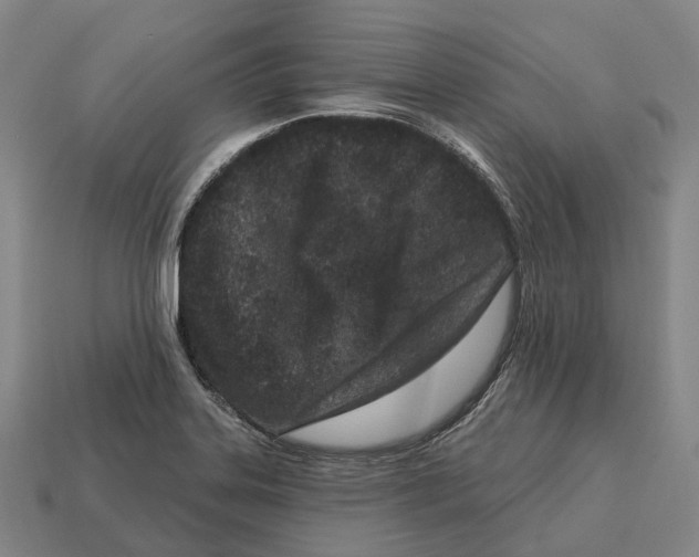 X0000113121323200909251105