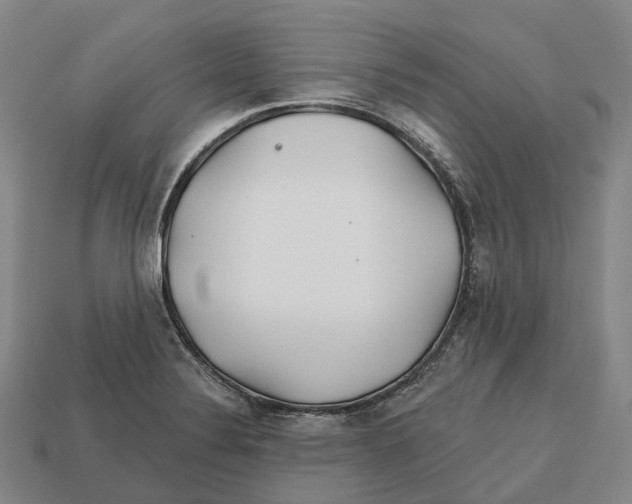 X0000113121324200909251105