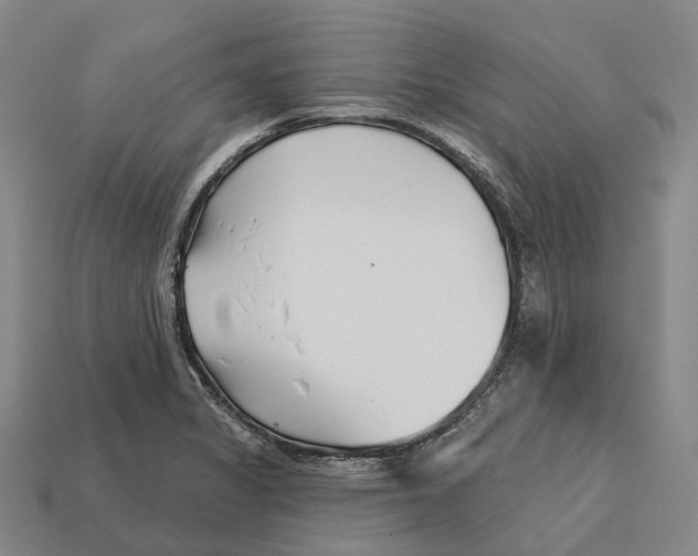 X0000113121325200909251105