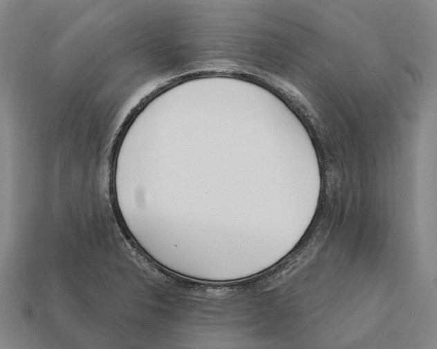 X0000113121326200909251105
