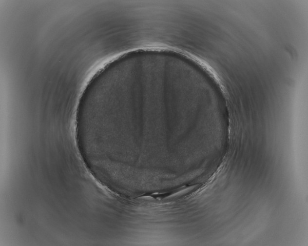 X0000113121327200909251105