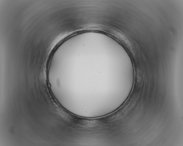 X0000113121328200909251105