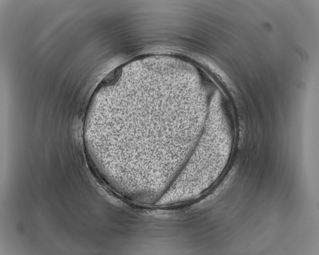 X0000113121329200909251105