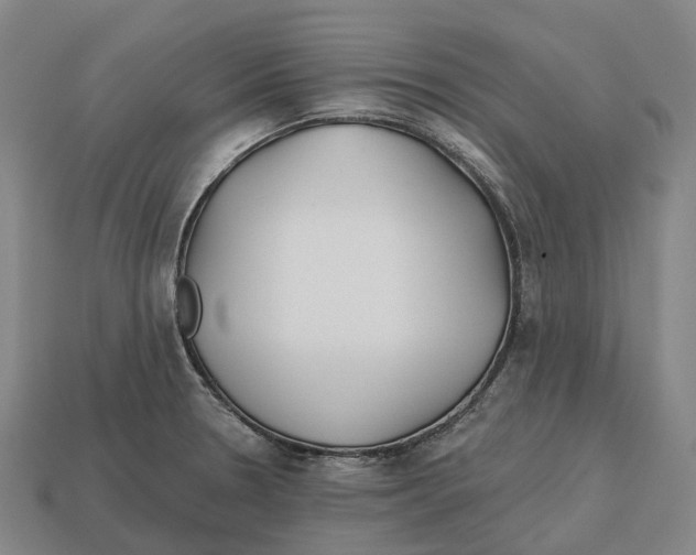 X0000113121330200909251105