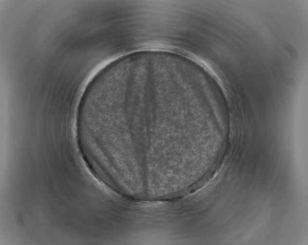 X0000113121331200909251105