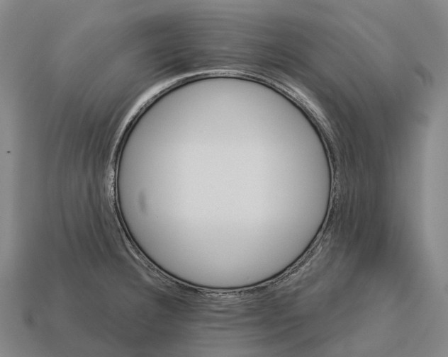 X0000113121332200909251105