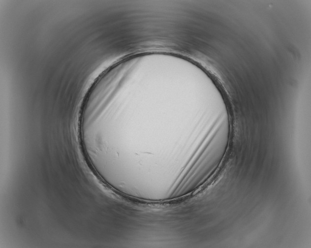 X0000113121333200909251105