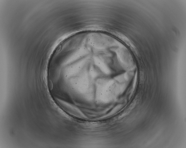 X0000113121334200909251105