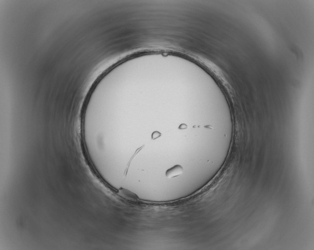 X0000113121335200909251105