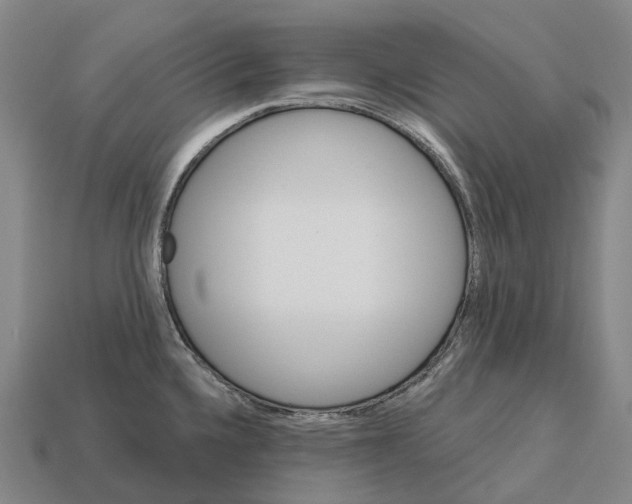 X0000113121336200909251105