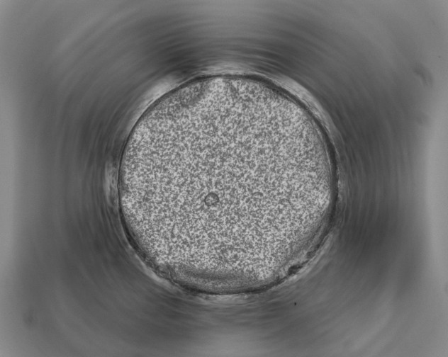 X0000113121337200909251105
