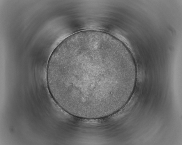 X0000113121338200909251105