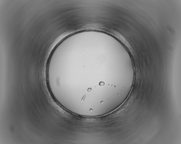 X0000113121339200909251105