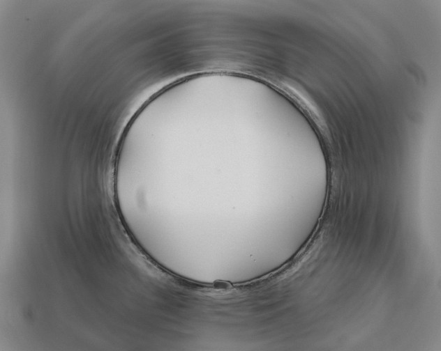 X0000113121340200909251105