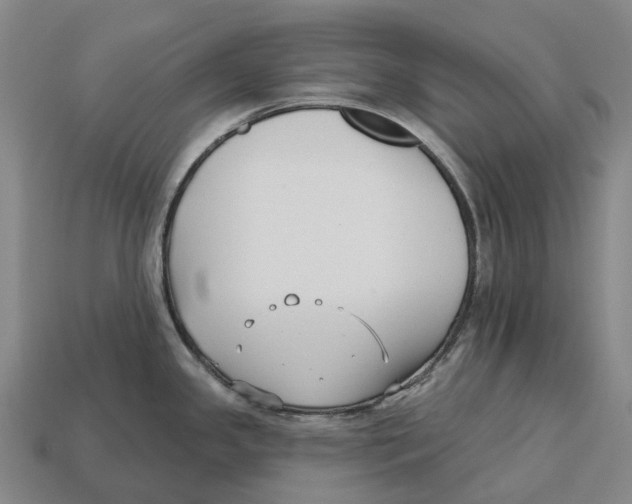X0000113121341200909251105