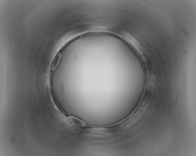 X0000113121342200909251105