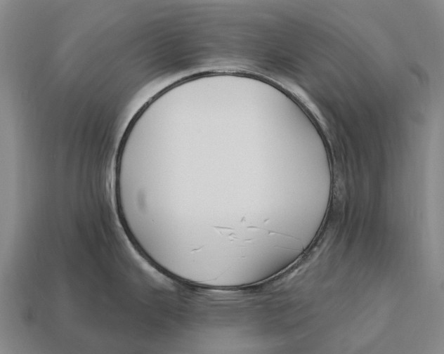 X0000113121343200909251105