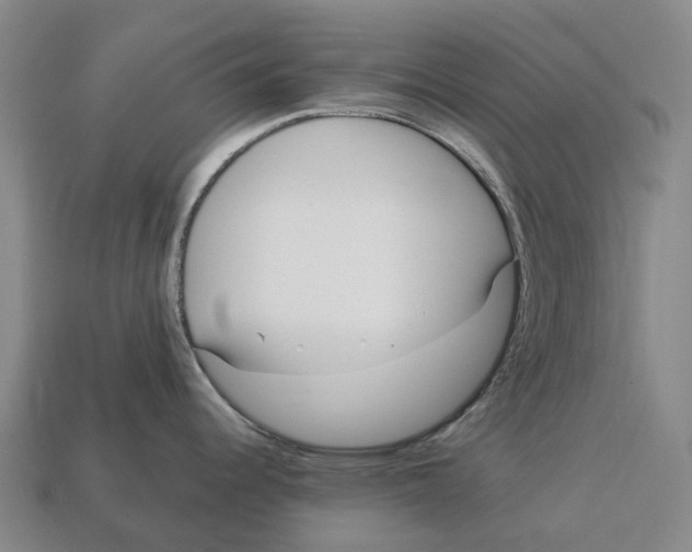 X0000113121344200909251105