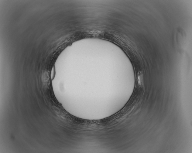 X0000113121347200909251104