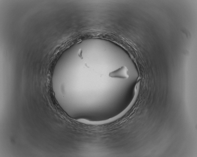 X0000113121349200909251104
