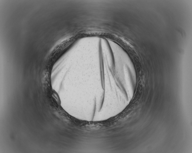 X0000113121351200909251104