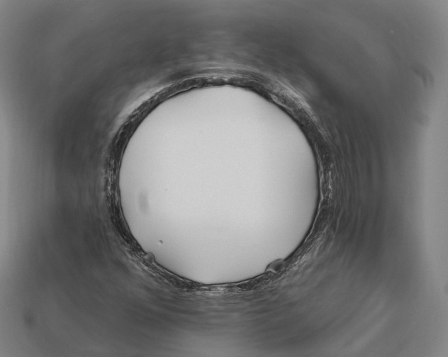 X0000113121352200909251104