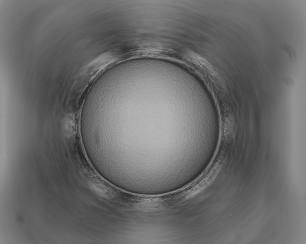 X0000113121353200909251104