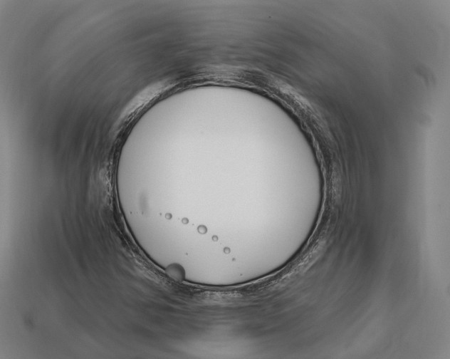 X0000113121354200909251104