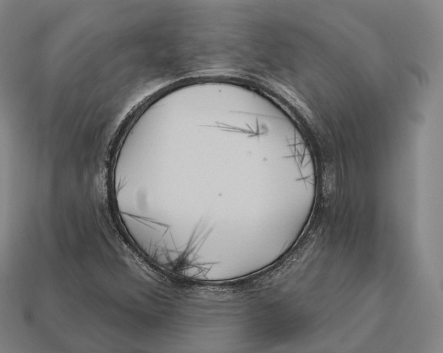 X0000113121356200909251104