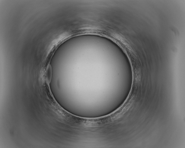 X0000113121357200909251104